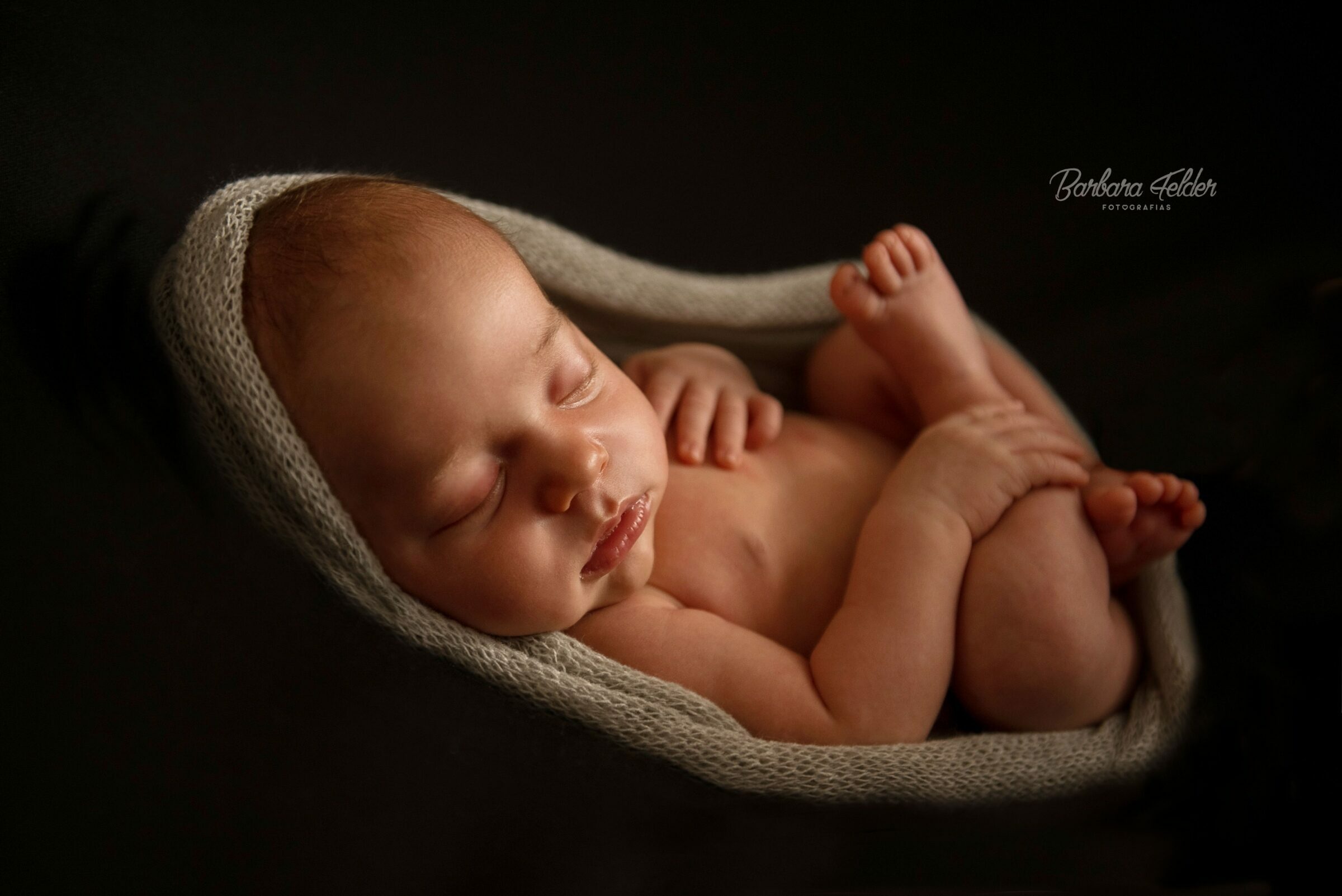 Foto de Barbara Felder Fotografias 8