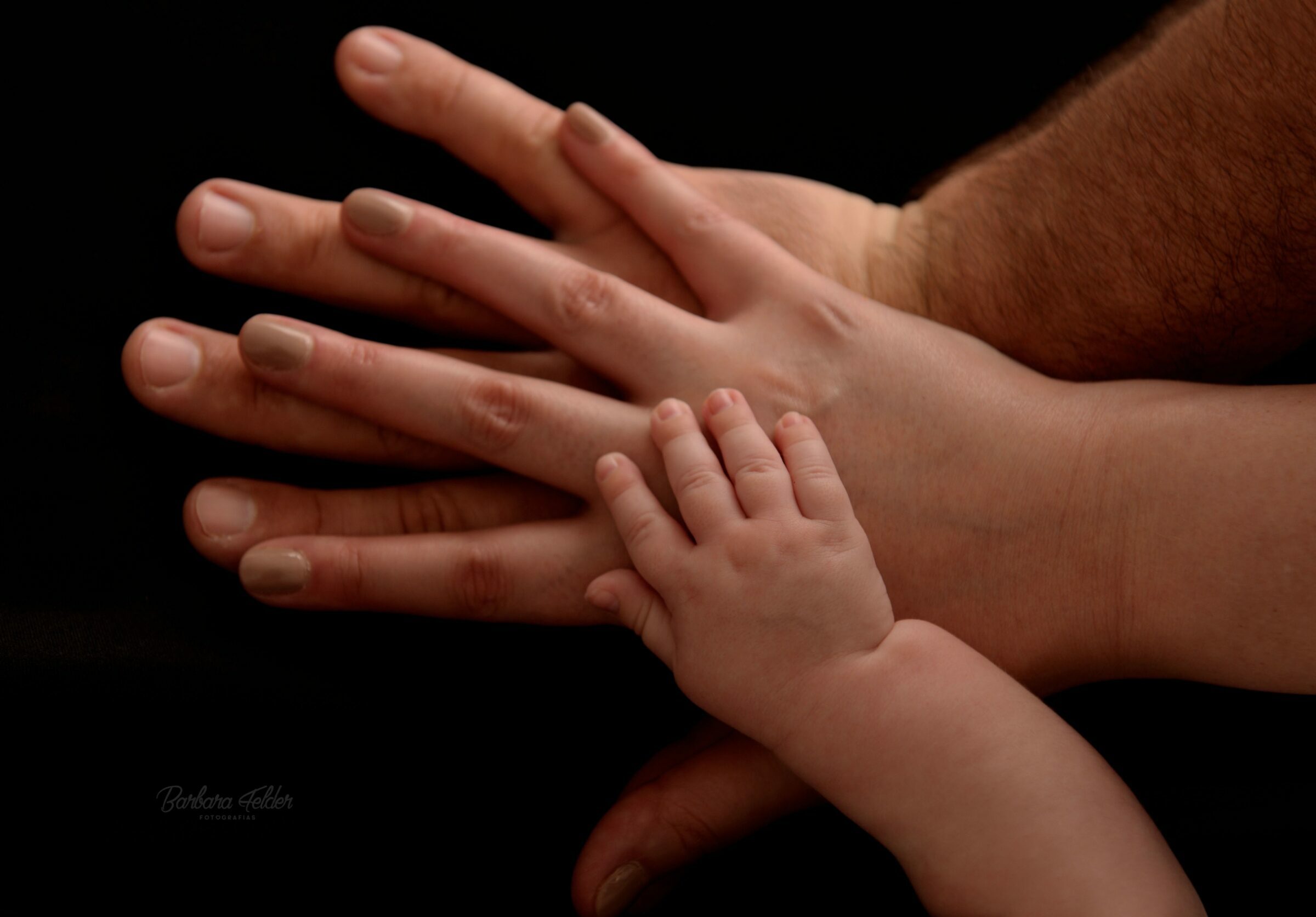 Foto de Barbara Felder Fotografias 13